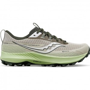 Scarpe Running Saucony Peregrine 13 GTX Uomo Grigie Menta | ROMA-XNLI