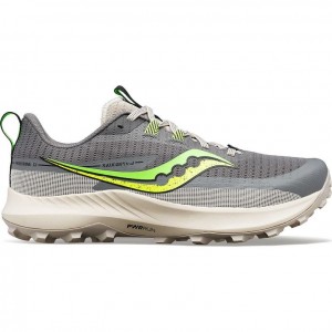 Scarpe Trail Running Saucony Peregrine 13 Uomo Grigie | ROMA-LRIM