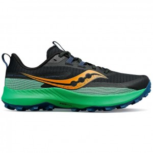 Scarpe Trail Running Saucony Peregrine 13 Uomo Nere Verdi | ITALIA-HNPS