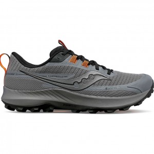 Scarpe Trail Running Saucony Peregrine 13 GTX Uomo Grigie | ROMA-YOVQ