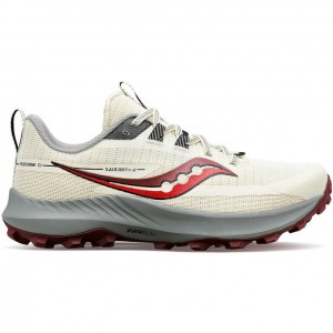 Scarpe Trail Running Saucony Peregrine 13 Donna Bianche | ROMA-TXZG