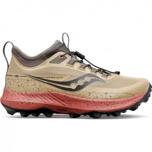 Scarpe Trail Running Saucony Peregrine 13 ST Donna Marroni | ITALIA-WVQD