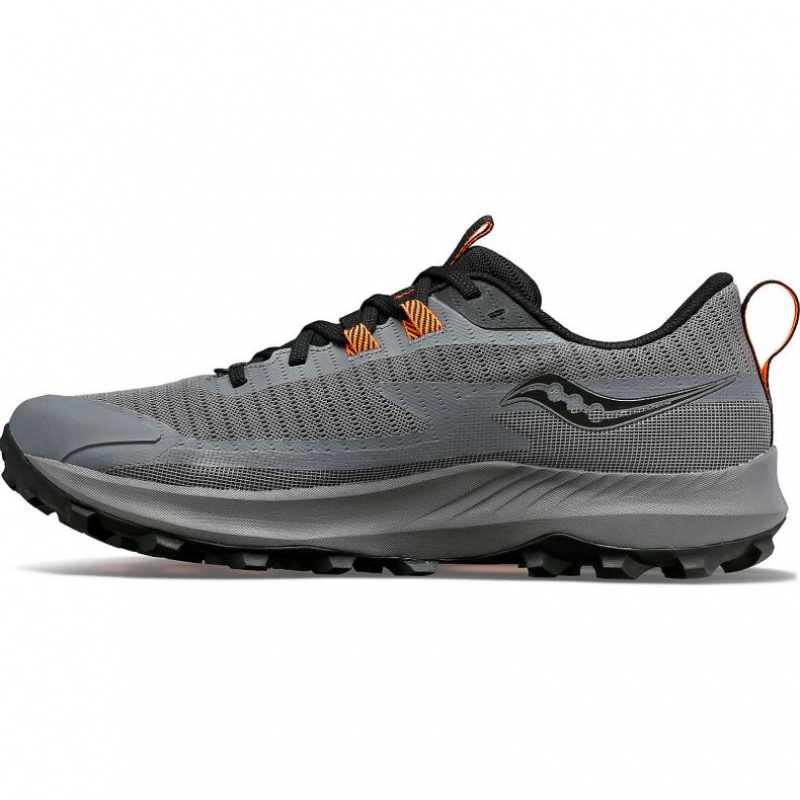 Scarpe Trail Running Saucony Peregrine 13 GTX Uomo Grigie | ROMA-YOVQ