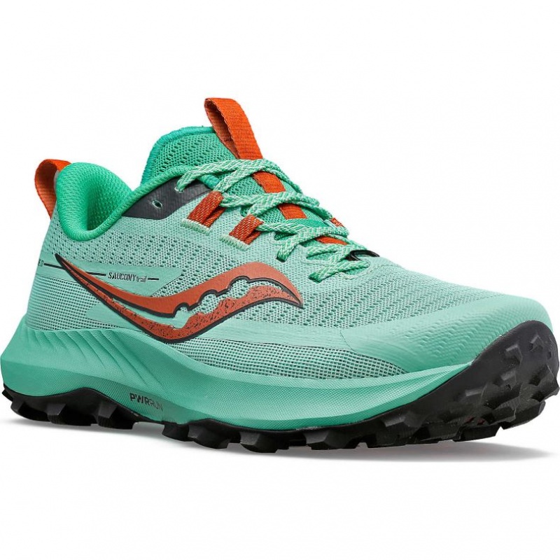 Scarpe Trail Running Saucony Peregrine 13 Donna Verde Acqua | ROMA-XETU