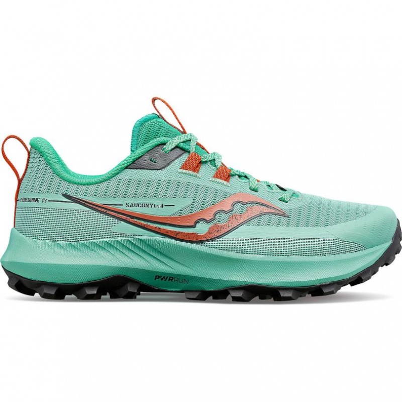 Scarpe Trail Running Saucony Peregrine 13 Donna Verde Acqua | ROMA-XETU