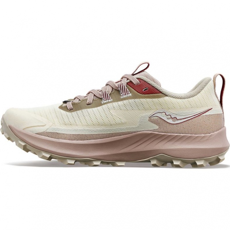 Scarpe Trail Running Saucony Peregrine 13 GTX Donna Bianche | ITALIA-ONFW